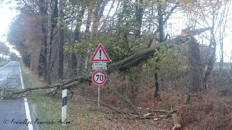 Technische Hilfeleistung Technische Hilfeleistung