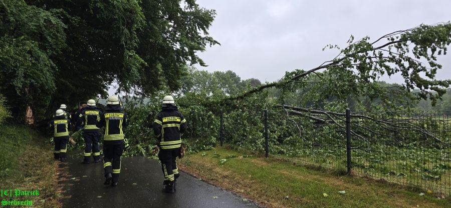 Einsatzfoto TH0 Baum auf der Fahrbahn