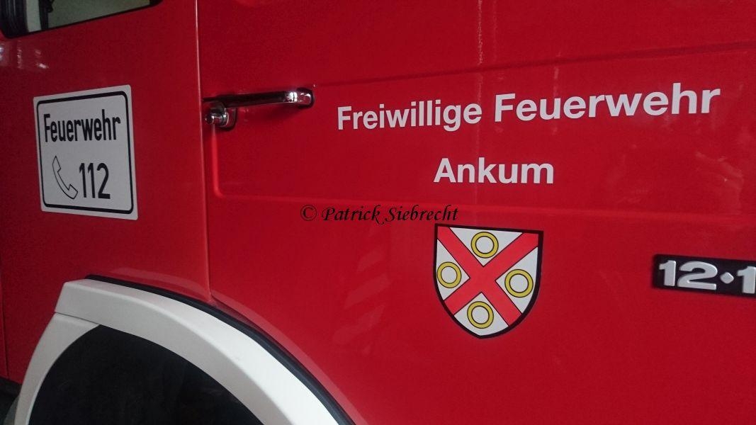 Einsatzfoto TH0 Baum auf der Fahrbahn